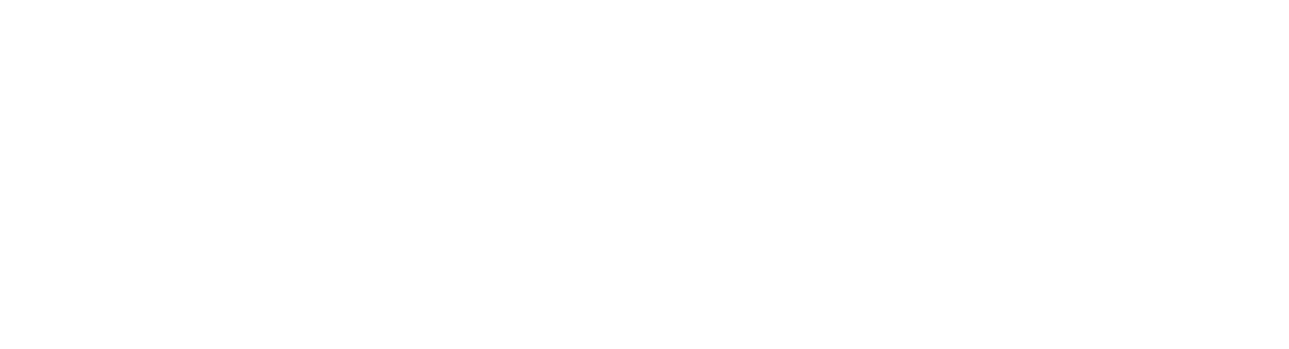 Blue Crane Consulting Group Logo